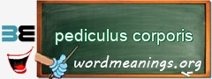 WordMeaning blackboard for pediculus corporis